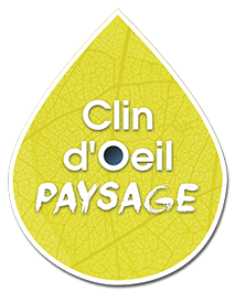 CLIN D'OEIL PAYSAGE
